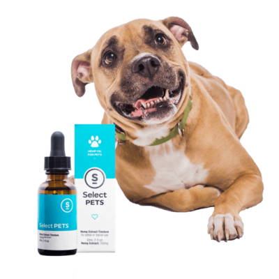 Amazon/eBay hot sell Dedicated Pure Natural Organic Hemp Seed Extract CBD Hemp Oil For Pets